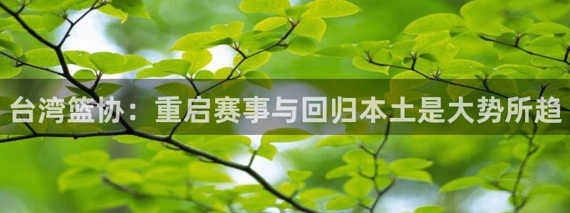 台湾篮协：重启赛事与回归本土是大势所趋