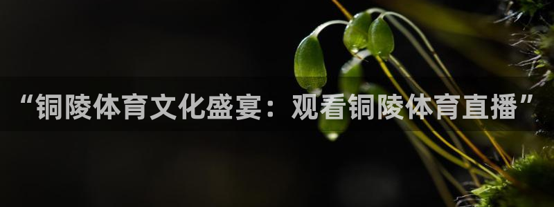 “铜陵体育文化盛宴：观看铜陵体育直播”