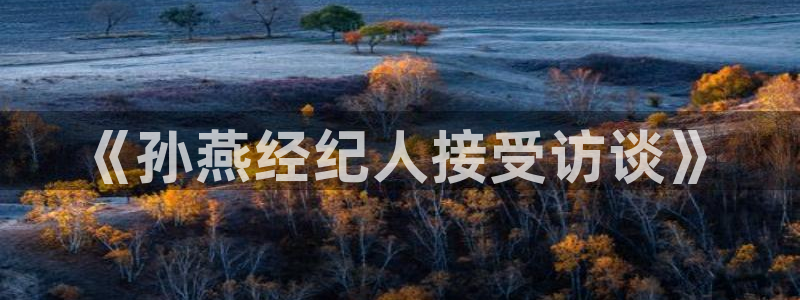 《孙燕经纪人接受访谈》