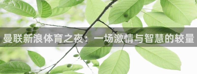 曼联新浪体育之夜：一场激情与智慧的较量