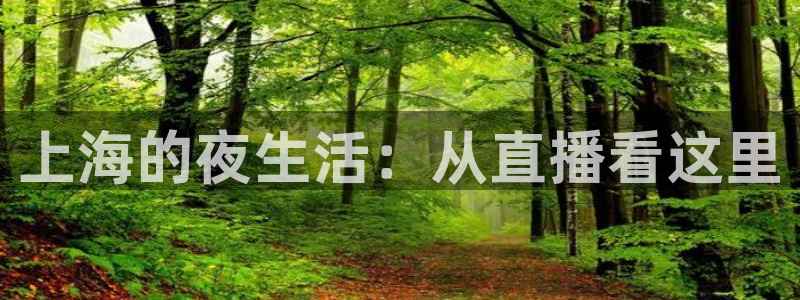 上海的夜生活：从直播看这里