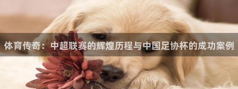 体育传奇：中超联赛的辉煌历程与中国足协杯的成功案例