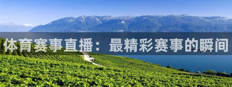 体育赛事直播：最精彩赛事的瞬间