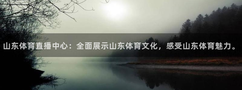 山东体育直播中心：全面展示山东体育文化，感受山东体育魅力。