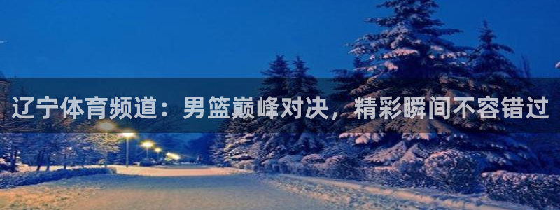 辽宁体育频道：男篮巅峰对决，精彩瞬间不容错过