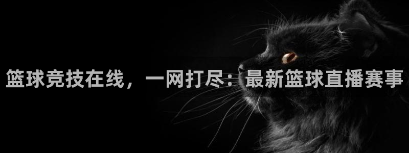 篮球竞技在线，一网打尽：最新篮球直播赛事