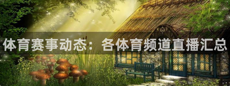 体育赛事动态：各体育频道直播汇总
