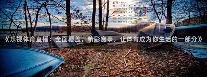 《乐视体育直播：全面覆盖，精彩赛事，让体育成为你生活的一部分》