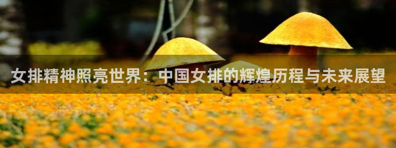女排精神照亮世界：中国女排的辉煌历程与未来展望