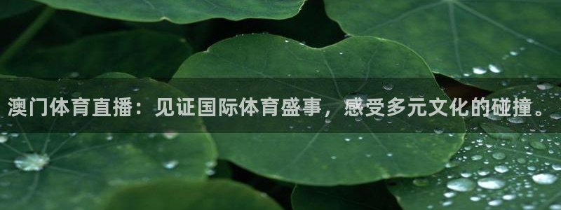 澳门体育直播：见证国际体育盛事，感受多元文化的碰撞。