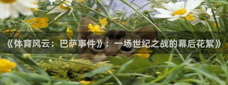 《体育风云：巴萨事件》：一场世纪之战的幕后花絮》