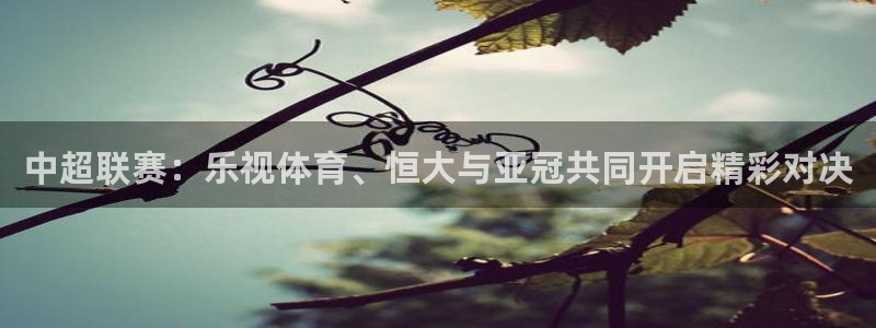 中超联赛：乐视体育、恒大与亚冠共同开启精彩对决