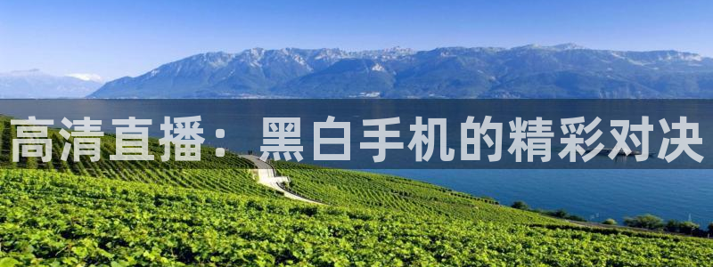 高清直播：黑白手机的精彩对决