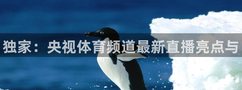独家：央视体育频道最新直播亮点与