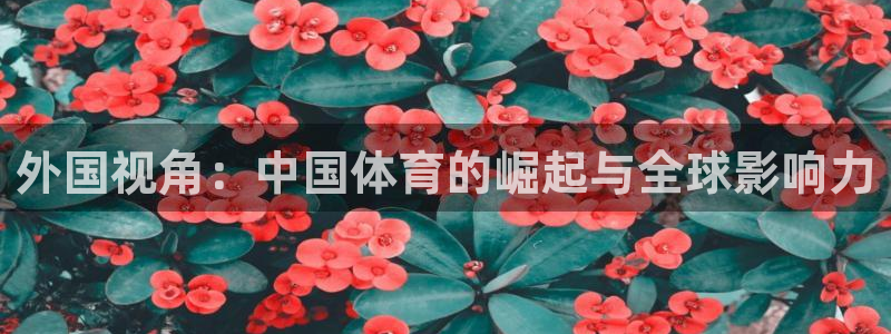 外国视角：中国体育的崛起与全球影响力
