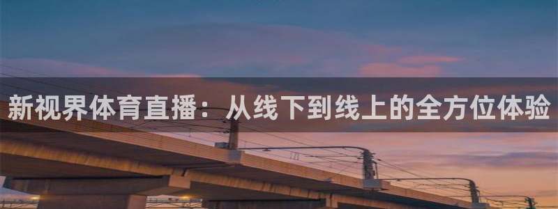 新视界体育直播：从线下到线上的全方位体验
