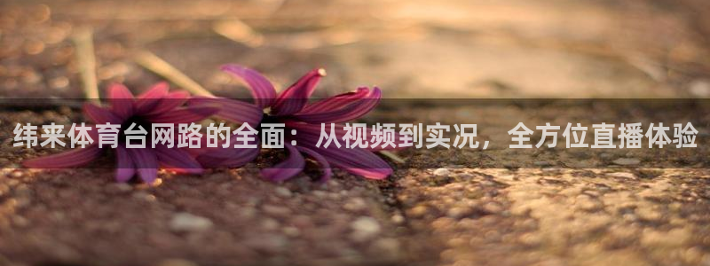 纬来体育台网路的全面：从视频到实况，全方位直播体验
