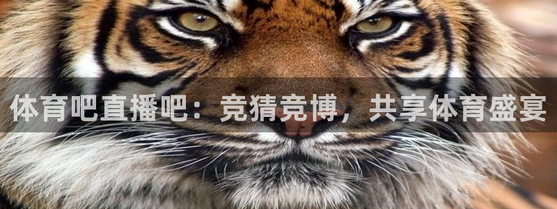体育吧直播吧：竞猜竞博，共享体育盛宴