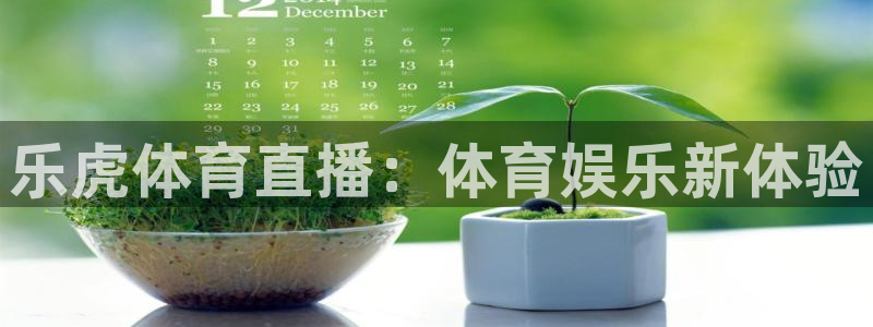乐虎体育直播：体育娱乐新体验