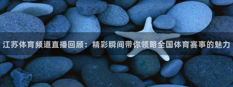 江苏体育频道直播回顾：精彩瞬间带你领略全国体育赛事的魅力