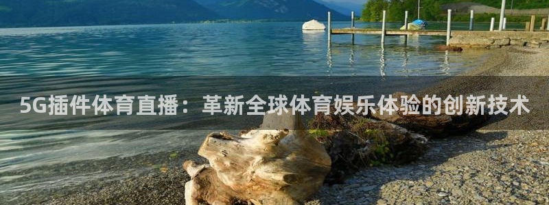 5G插件体育直播：革新全球体育娱乐体验的创新技术