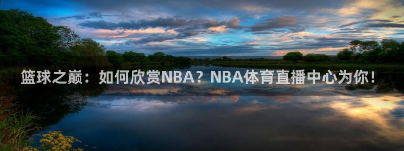 篮球之巅：如何欣赏NBA？NBA体育直播中心为你！