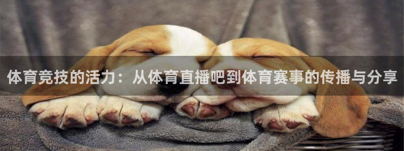 体育竞技的活力：从体育直播吧到体育赛事的传播与分享