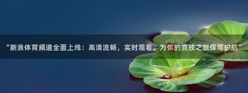 “新浪体育频道全面上线：高清流畅，实时观看，为你的竞技之旅保驾护航”