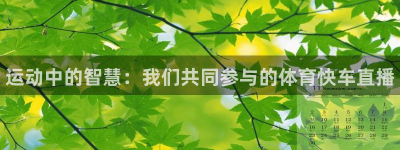 运动中的智慧：我们共同参与的体育快车直播