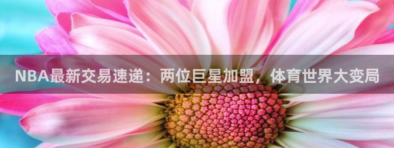 NBA最新交易速递：两位巨星加盟，体育世界大变局