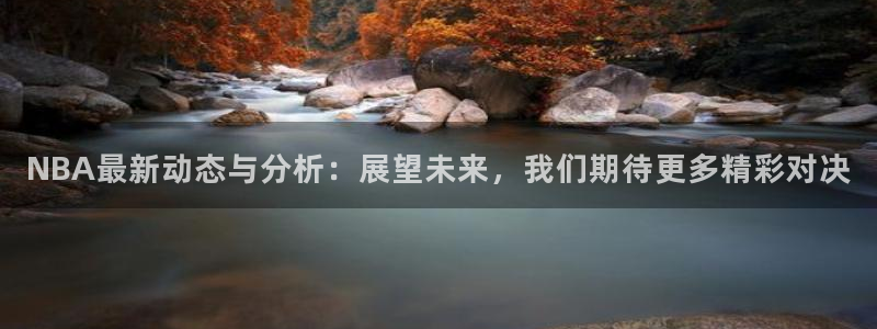 NBA最新动态与分析：展望未来，我们期待更多精彩对决