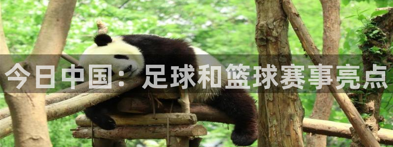 今日中国：足球和篮球赛事亮点