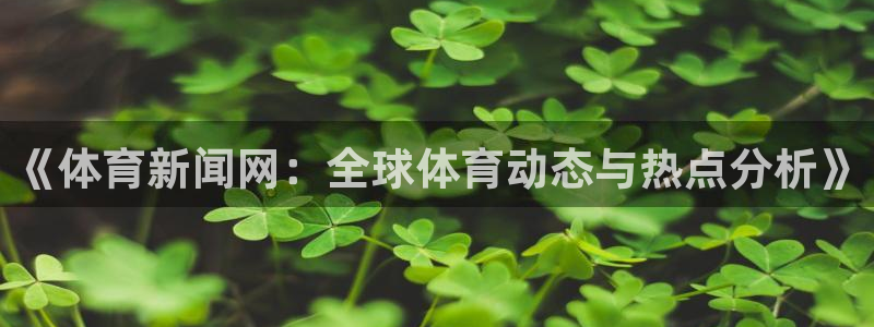 《体育新闻网：全球体育动态与热点分析》