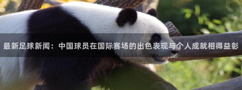 最新足球新闻：中国球员在国际赛场的出色表现与个人成就相得益彰