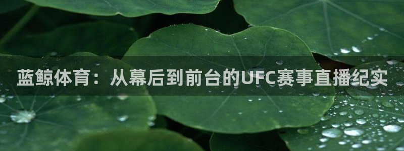 蓝鲸体育：从幕后到前台的UFC赛事直播纪实