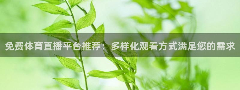 免费体育直播平台推荐：多样化观看方式满足您的需求