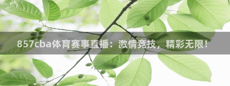 857cba体育赛事直播：激情竞技，精彩无限！