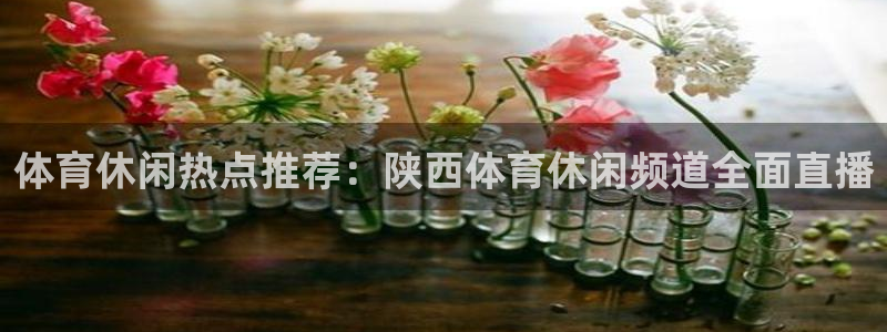 体育休闲热点推荐：陕西体育休闲频道全面直播