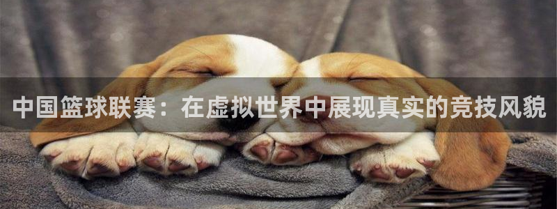 中国篮球联赛：在虚拟世界中展现真实的竞技风貌