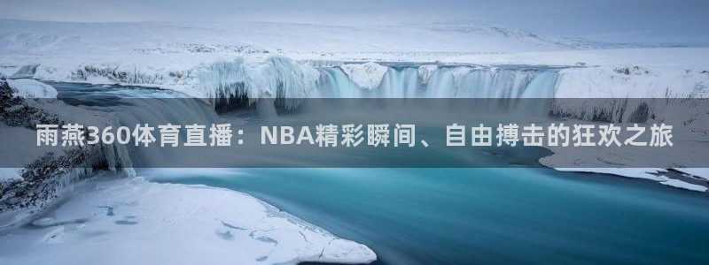 雨燕360体育直播：NBA精彩瞬间、自由搏击的狂欢之旅
