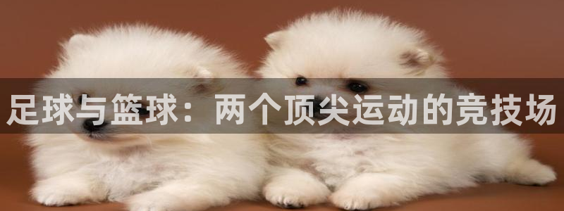 足球与篮球：两个顶尖运动的竞技场