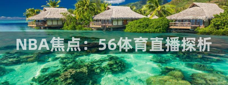 NBA焦点：56体育直播探析
