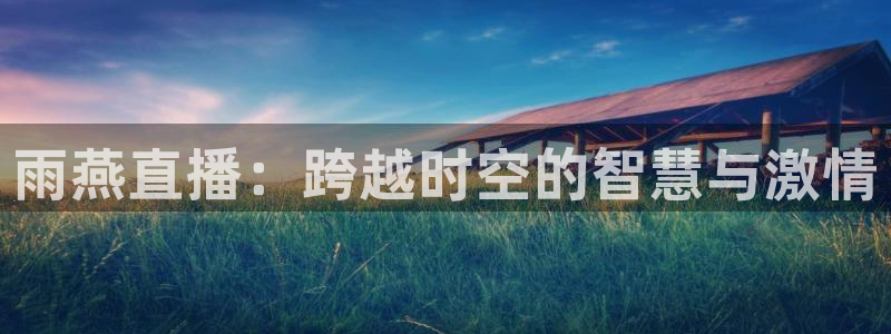 雨燕直播：跨越时空的智慧与激情