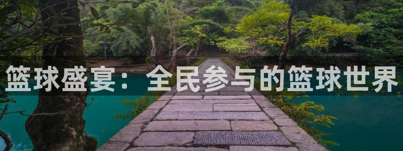 篮球盛宴：全民参与的篮球世界