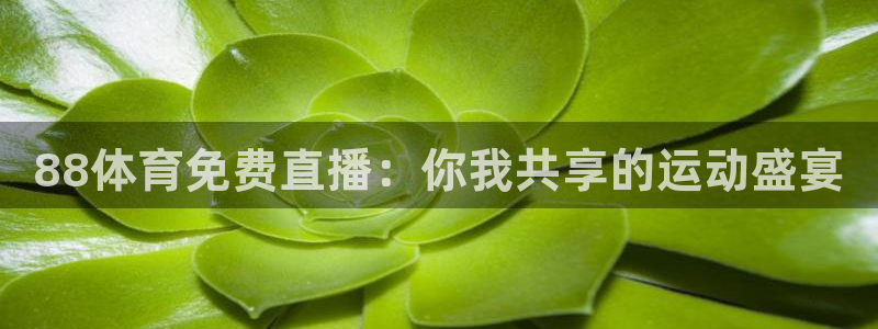 88体育免费直播：你我共享的运动盛宴