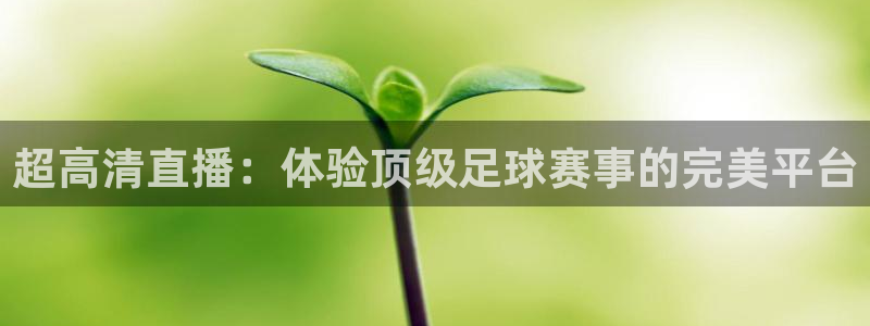 超高清直播：体验顶级足球赛事的完美平台
