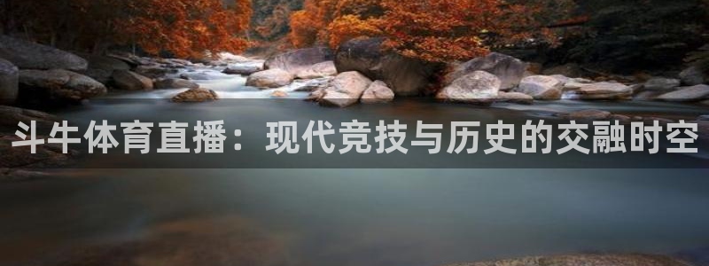 斗牛体育直播：现代竞技与历史的交融时空