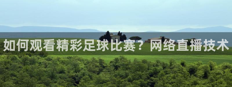 如何观看精彩足球比赛？网络直播技术