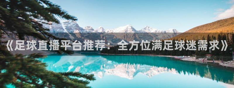 《足球直播平台推荐：全方位满足球迷需求》