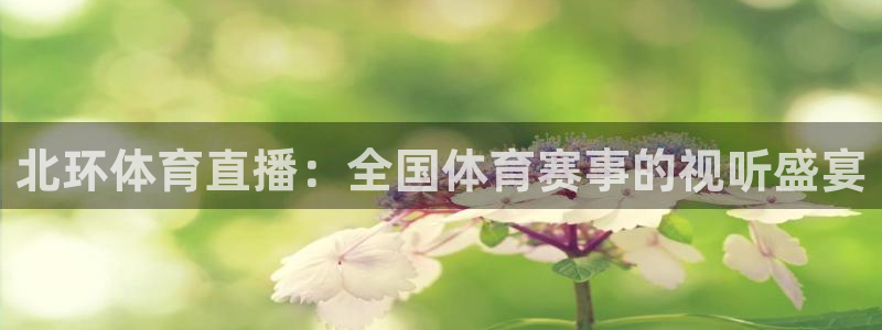 北环体育直播：全国体育赛事的视听盛宴